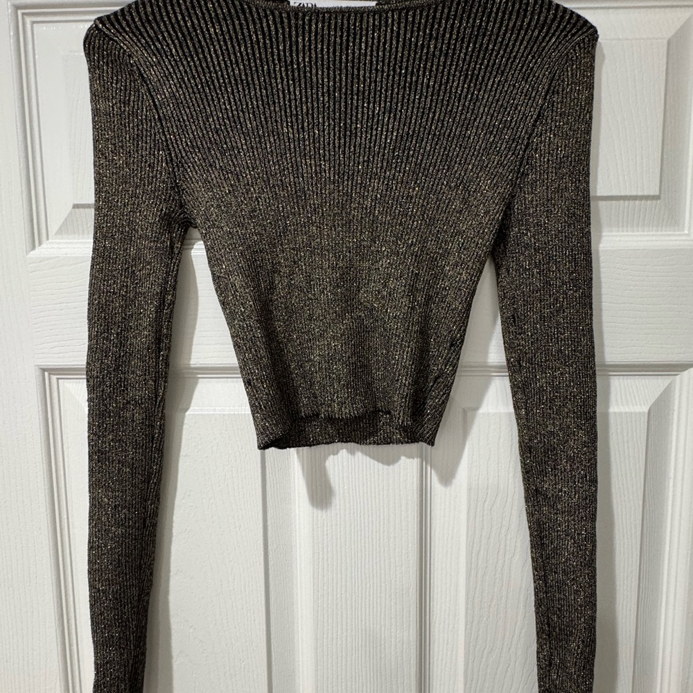 Zara Shiny Black Long Sleeve Crop Top